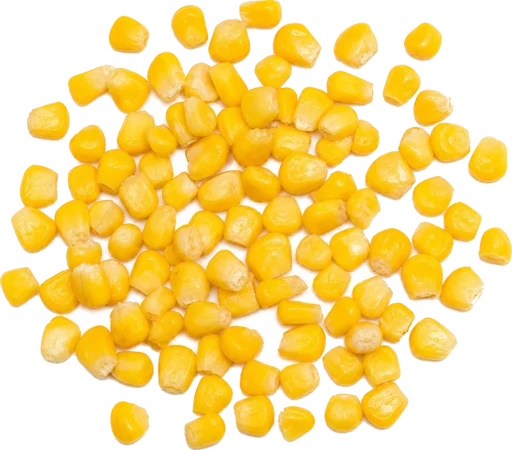 Mais